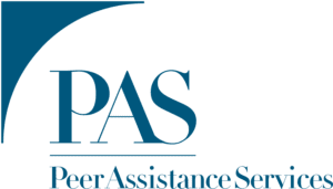 2020-PAS-308 2020-PAS-308